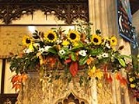 Harvest Flowers 